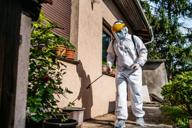 Best Best Pest Control Companies  in Rio Rancho Estates, NM