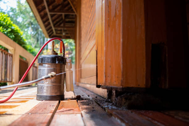 Best Pest Prevention Services  in Rio Rancho Estates, NM