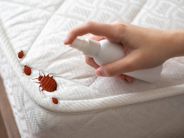 Best Commercial Pest Control Services  in Rio Rancho Estates, NM