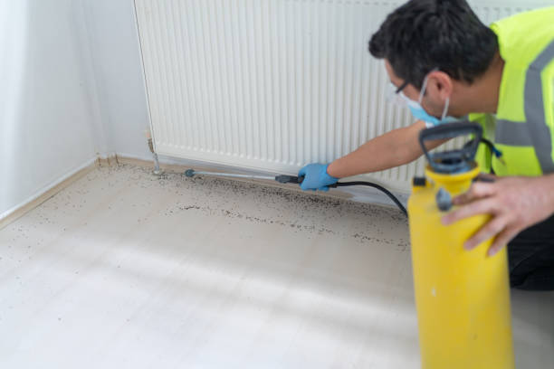 Best Affordable Pest Control Services  in Rio Rancho Estates, NM